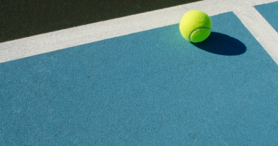 Pronostic ATP Washington