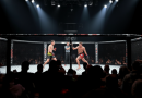 Programme UFC